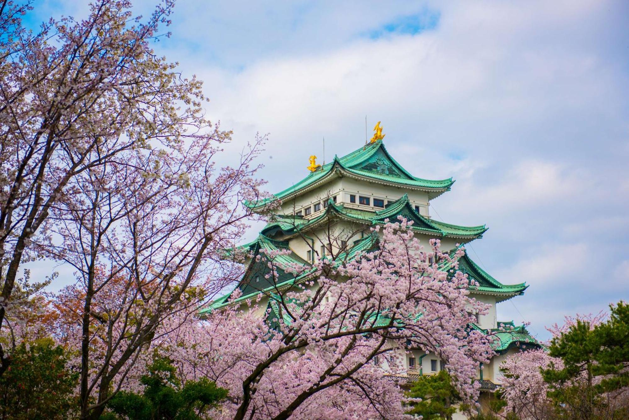 Hilton Nagoya Hotel Kültér fotó